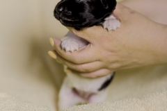 © all rights reserved - Photo by Lisanne Bakker