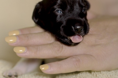 © all rights reserved - Photo by Lisanne Bakker