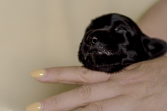 © all rights reserved - Photo by Lisanne Bakker