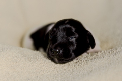 © all rights reserved - Photo by Lisanne Bakker