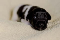 © all rights reserved - Photo by Lisanne Bakker