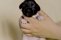 © all rights reserved - Photo by Lisanne Bakker