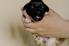 © all rights reserved - Photo by Lisanne Bakker