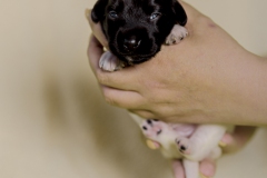 © all rights reserved - Photo by Lisanne Bakker