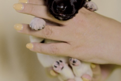 © all rights reserved - Photo by Lisanne Bakker