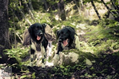 © all rights reserved - Photo by Lisanne Bakker